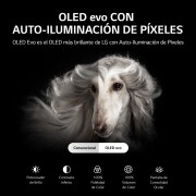 LG OLED evo 65'' G2 Diseño Galería 4K Smart TV con ThinQ AI (Inteligencia Artificial), 4K Procesador Inteligente α9 generación 5, OLED65G2PSA