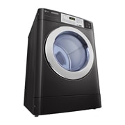 LG 10KG Standard Capacity Dryer, CDG27RUCPB