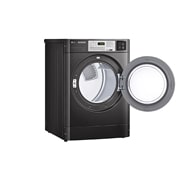 LG 10KG Standard Capacity Dryer, CDG27RUCPB