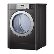 LG 10KG Standard Capacity Dryer, CDG27RUCPB