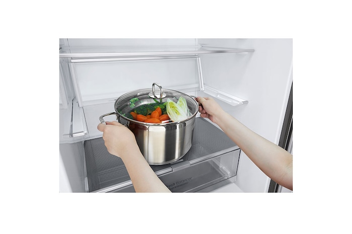 LG 15.9 Cu. Ft. Bottom Freezer Refrigerator with Fresh Balancer™, GR-B529NLCM