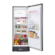 LG 6 Cu. Ft. 1-Door Refrigerator with Smart Inverter Compressor in Platinum Silver, GR-C201SLZB