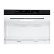 LG 15.9 Cu. Ft. Bottom Freezer Refrigerator with Big Freezing Zone, RUB-B160MC