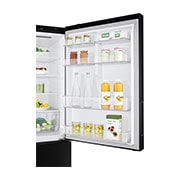 LG 15.9 Cu. Ft. Bottom Freezer Refrigerator with Big Freezing Zone, RUB-B160MC