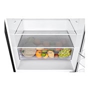 LG 15.9 Cu. Ft. Bottom Freezer Refrigerator with Big Freezing Zone, RUB-B160MC