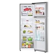 LG 10.1 Cu. Ft. Top Freezer Refrigerator in Platinum Silver, RVT-B101PZ