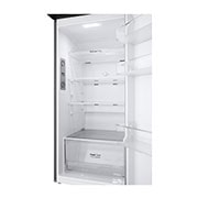 LG 10.1 Cu. Ft. Top Freezer Refrigerator in Platinum Silver, RVT-B101PZ