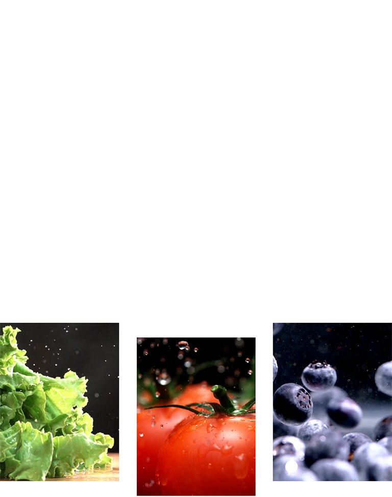 Fruits and vegetables such as lettuce, tomatoes, and blueberries are freshly preserved in the product.