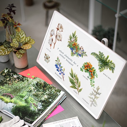 StanbyME is placed right in front of a desk filled with a magazine and small plants. The screen shows a collection of different plants and their Plantae.