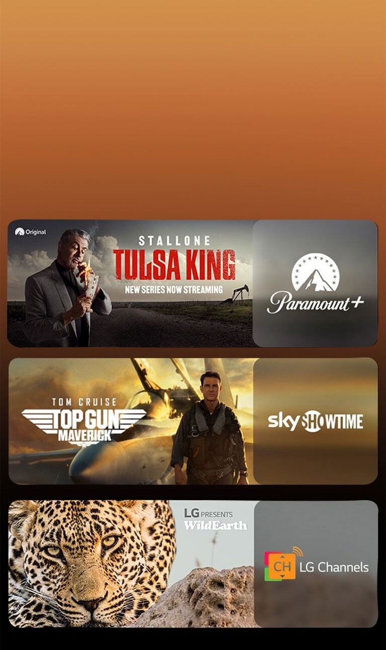 There are logos of streaming service platforms and matching footages right next to each logo. There are images of Paramount+'s Tulsa King, sky showtime's TOP GUN, and LG CHANNELS' leopard.