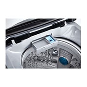 LG 7.5KG Top Load Washing Machine with Smart Inverter Motor, T2175VS2M