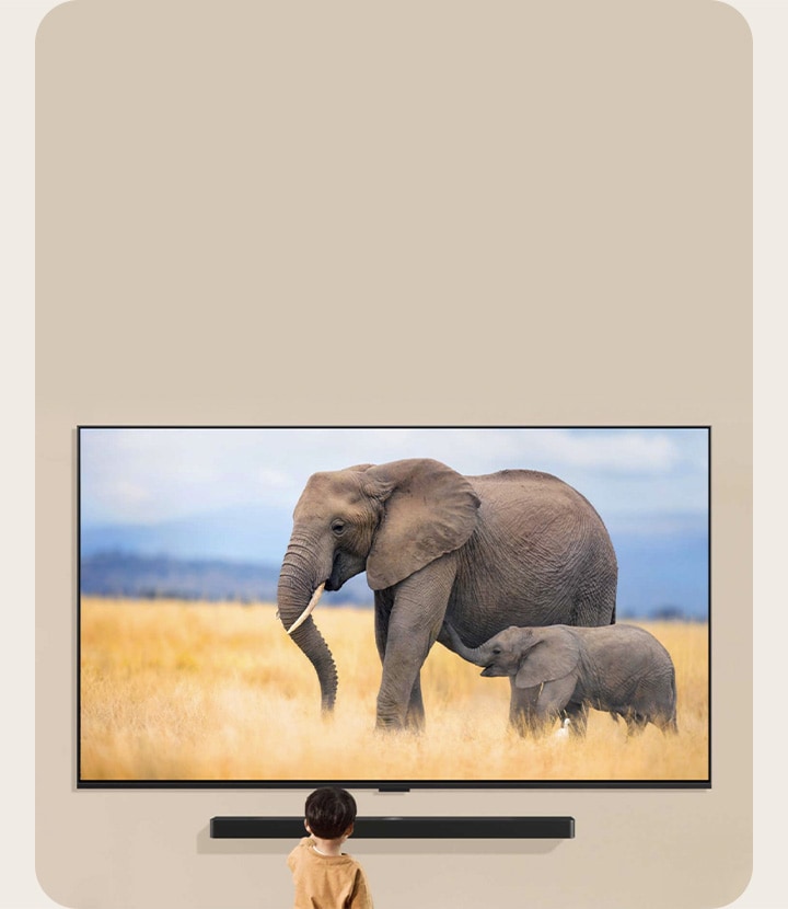 An LG TV mounted on a living room wall with an LG Soundbar mounted directly under. The TV displays two elephants, and a small child stands in front of the TV.