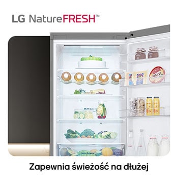 Lodówko-zamrażarka LG GBV3210DPY pokazuje wnętrze NatureFRESH z półką na wino i szufladami na warzywa dla długotrwałej świeżości.