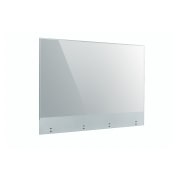 LG Transparentny OLED Touch Signage, 55EW5TF-A