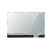 LG Transparentny OLED Touch Signage, 55EW5TF-A