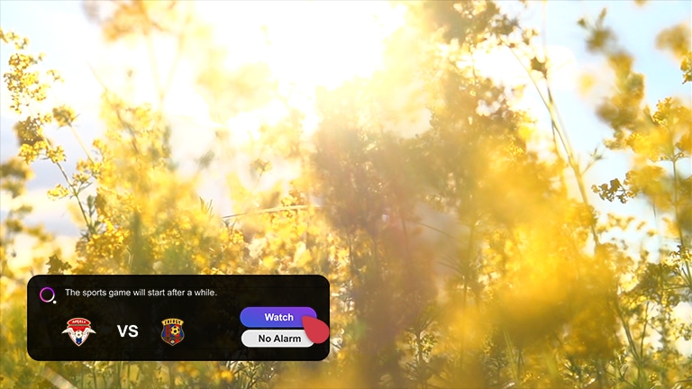 Ekran przedstawia łąkę z kwitnącymi żółtymi kwiatami polnymi. W lewym dolnym rogu znajduje się powiadomienie sportowe o aktualnym wyniku. Kursor klika przycisk Obejrzyj i na ekranie pojawia się scena z meczu piłkarskiego. 