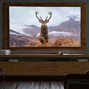 LG Telewizor LG 55” NanoCell 4K 2020 AI TV ze sztuczną inteligencją 55NANO80, 55NANO803NA