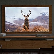 LG Telewizor LG 55” NanoCell 4K 2020 AI TV ze sztuczną inteligencją 55NANO81, 55NANO813NA