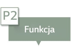 Pole tekstowe zawiera napis „Funkcjonalność”.