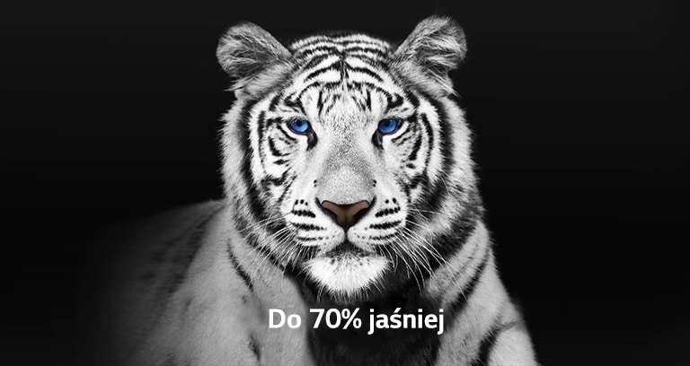 Film przedstawiający dwa zdjęcia białego tygrysa obok siebie. Strona przedstawiająca działanie funkcji Brightness Booster Max jest o 70% jaśniejsza i wypełnia cały ekran.