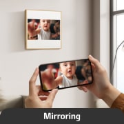 Mirroring