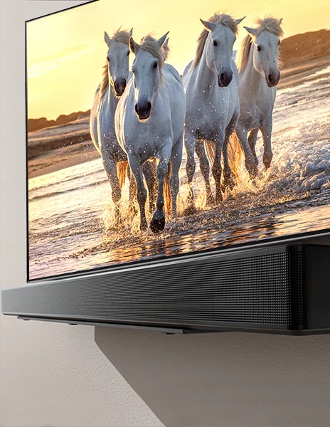 Telewizor i soundbar stojące na półce z ekranem wyświetlającym obraz białego konia biegnącego po niebieskiej plaży.	