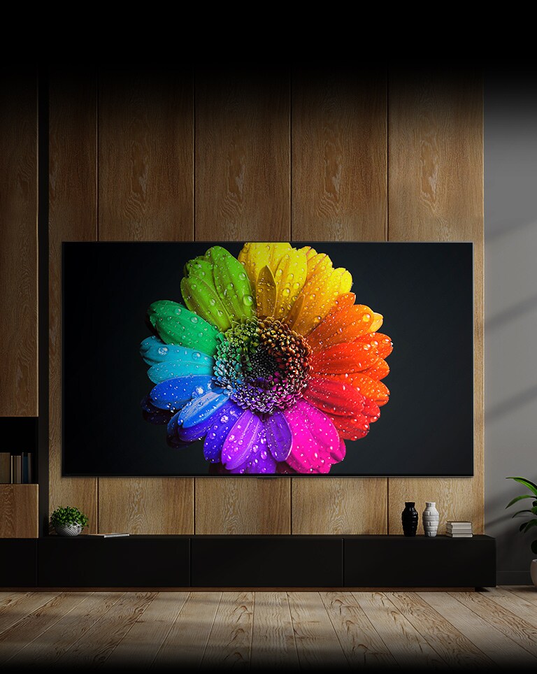 Diody Mini LED wewnątrz telewizora zaświecają się i wypełniają go światłem, po czym generują kolorowy kwiat na ekranie.