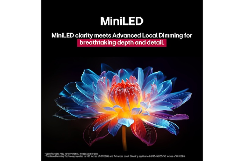 Fleur holographique en 3D dans de nombreuses nuances différentes sur un fond noir. La définition et les détails de la fleur montrent la capacité de la MiniLED de QNED à produire des visuels aux couleurs, à la luminosité et au contraste exceptionnels. Le titre évoque la façon dont la MiniLED améliore la clarté et offre un contraste exceptionnel.