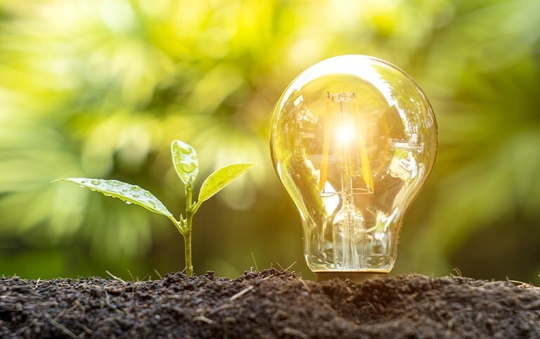 A light bulb and plant shoot side by side in soil against a leafy backdrop.