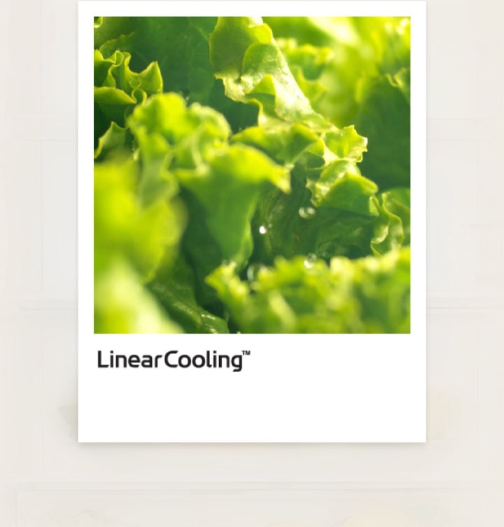 Gráfico Linear cooling com vegetais frescos junto a ele, mostrando que as flutuações de temperatura se mantêm dentro de ±0.5℃, para manter a fresucra dos alimentos.