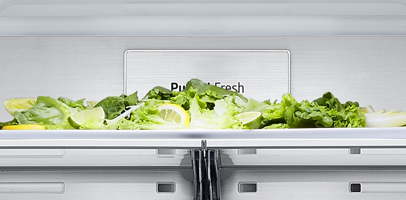 Grande plano da etiqueta “fresh” metálica no interior do frigorífico.