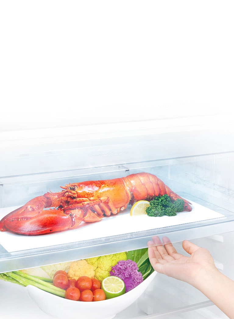 Poupe Tempo na Descongelação