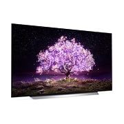 LG OLED TV 4K, série C1, Processador α9 Gen4 AI, webOS 6.0, OLED65C16LA