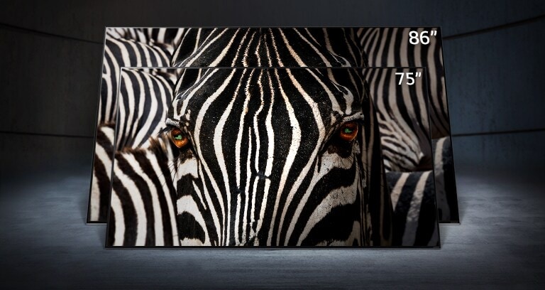 Uma TV NanoCell de 75 polegadas em frente a outra de 86, num espaço escuro. Uma imagem de detalhe do rosto de uma zebra está nos ecrãs.