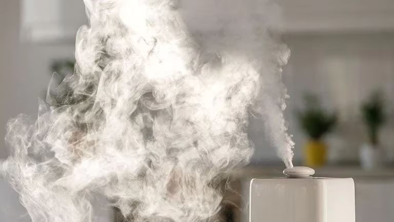 /sa/images/Air-Solutions/which-humidifier-can-help-you-combat-a-dry-home/which-humidifier-can-help-you-combat-a-dry-home-thumbnail.jpg