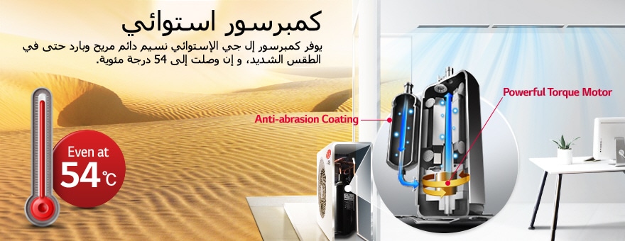 كمبرسور استوائي
