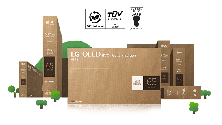 lg oled evo 65g2