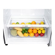 LG 18 Cu. Ft Top Freezer Refrigerator, LT19CBBSLN