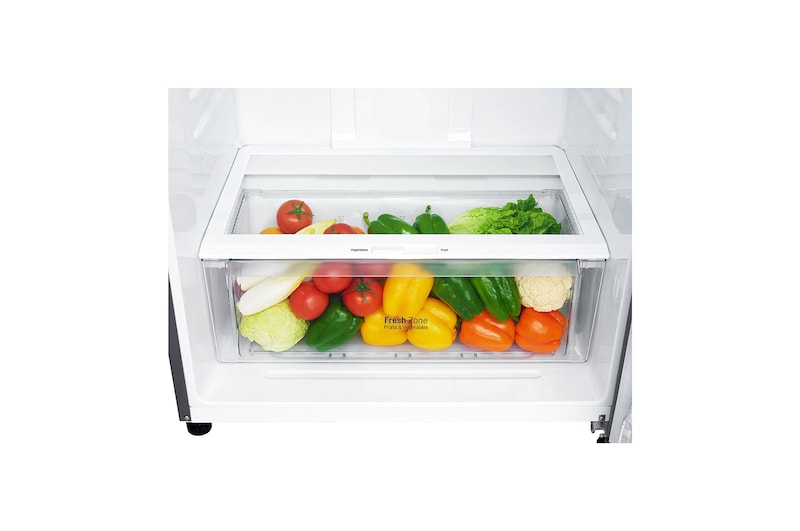 LG 18 Cu. Ft Top Freezer Refrigerator, LT19CBBSLN