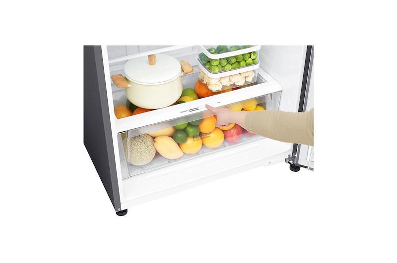 LG 18 Cu. Ft Top Freezer Refrigerator, LT19CBBSLN