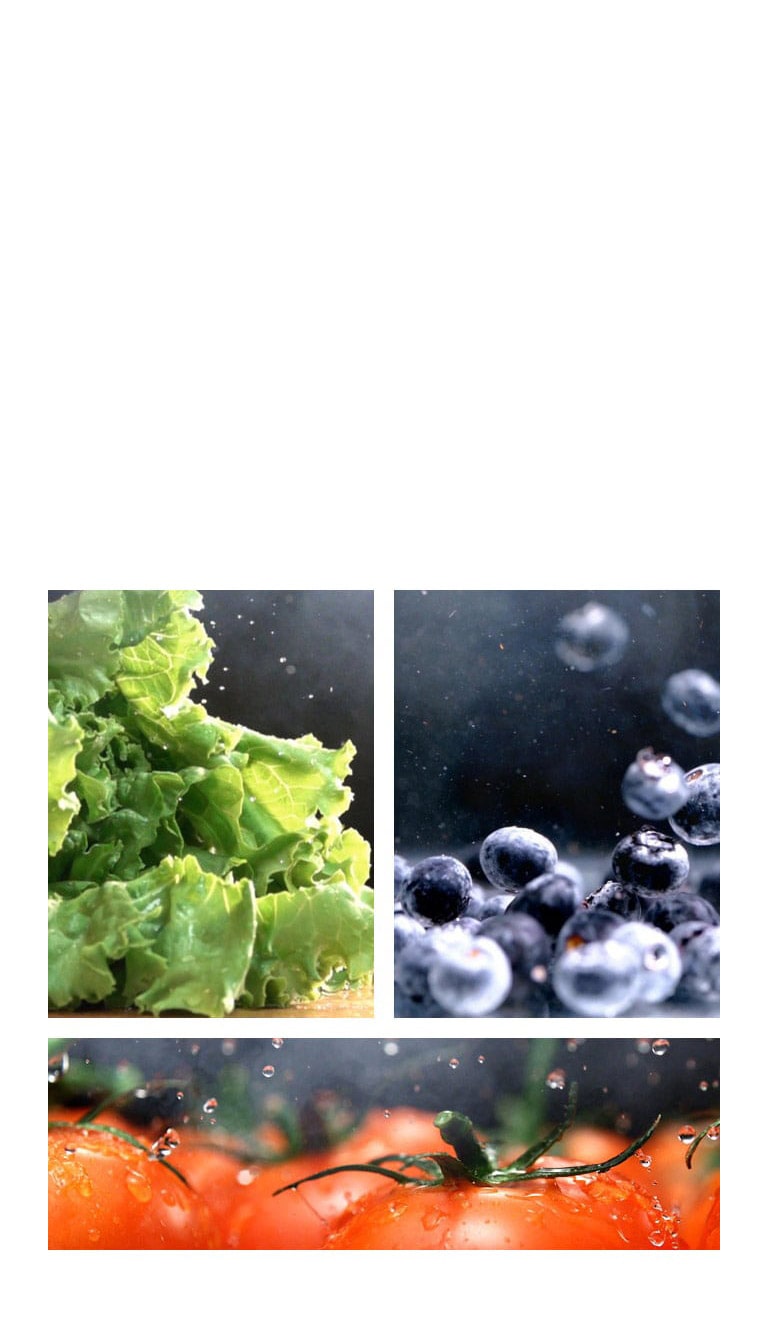 Seals in Farm Freshness Longer