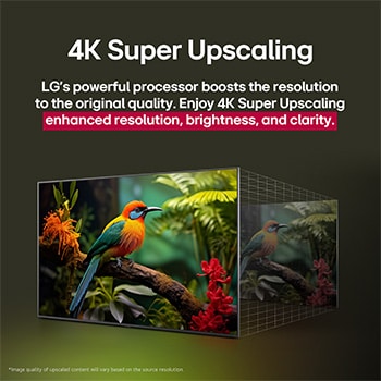 Before and after comparison of how LG 4K Super Upscaling improves image quality. Two panels showing the same image of a colorful bird sitting on a branch in a forest, panel on the right is faded out. The title talks about how 4K Super Upscaling enhances resolution, brightness and clarity. 