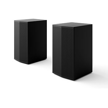 Angled view of Rear Speakers