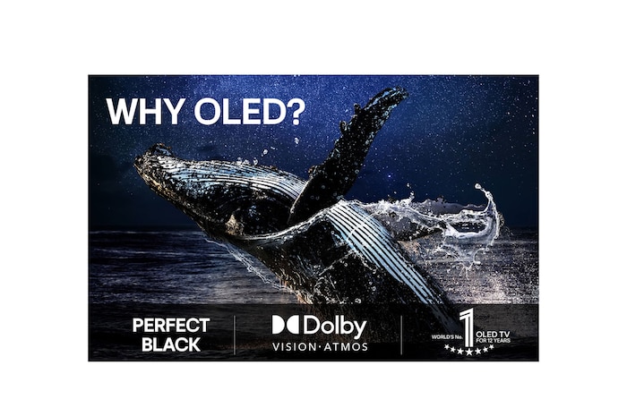 LG AI Magic Remote med AI-knappen markerad. Runt den visas de olika funktionerna som en användare kan komma åt från knappen. AI Voice ID, AI Search, AI Chatbot, AI Concierge, AI Picture Wizard, AI Sound Wizard. Texten förklarar att LG AI Magic Remote kompletterar din AI-upplevelse med en dedikerad AI-knapp och kan användas som en virtuell mus. Peka och klicka.