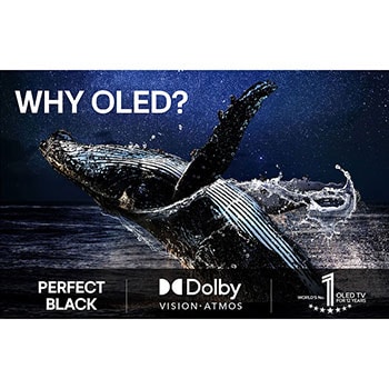 En leopard i skogen i livfulla färger och detaljer. Leoparden har ett rutnätsmönster och ett ljus som lyser bakom sig, vilket indikerar hur LG AI Picture Pro har gjort imponerande visuella förbättringar av scenens upplösning, ljusstyrka, djup och klarhet.