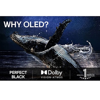 Colorful parrot in ultra-high definition against a black background. Water drops are suspended in the air all around it. The image showcases Perfect Color as each different hue on the parrot's body is vibrant and vivid. Different logo certifications from UL and Intertek are visible. These refer to 100% Color Fidelity and 100% Color Volume. Text is also visible, check the Perfect Color certificatio