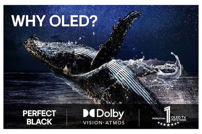 Bländande och färgglada fyrverkerier visas på en TV-skärm. Detta visar 100 % färgtrohet som visar exakta färger även i solljus.  Logotypcertifiering syns, Perfect Color Technology ger färgkonsekvensnivåer som är större än 99 %, upp till 500 lux. Intertek-certifieringar som visar oberoende tester syns bredvid.