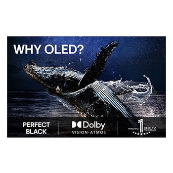 En färgglad papegoja i ultrahög upplösning mot en svart bakgrund. Vattendroppar svävar i luften runt den. Bilden visar Perfect Color eftersom varje nyans på papegojans kropp är levande och intensiva. Den mörka bakgrunden med de detaljerade vattenstänken framhäver även hur skärmen är reflektionsfri. Olika logotypcertifikat från UL och Intertek syns. Dessa hänvisar till 100 % färgtrohet och 100 % färgvolym och att skärmen är reflektionsfri. Text syns också, kontrollera Perfect Color-certifieringsmärket.