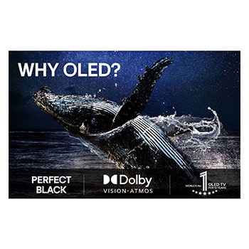 En färgglad papegoja i ultrahög upplösning mot en svart bakgrund. Vattendroppar svävar i luften runt den. Bilden visar Perfect Color eftersom varje nyans på papegojans kropp är levande och intensiva. Den mörka bakgrunden med de detaljerade vattenstänken framhäver även hur skärmen är reflektionsfri. Olika logotypcertifikat från UL och Intertek syns. Dessa hänvisar till 100 % färgtrohet och 100 % färgvolym och att skärmen är reflektionsfri. Text syns också, kontrollera Perfect Color-certifieringsmärket.