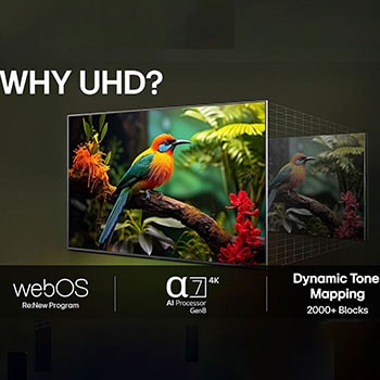 LG AI Magic Remote med AI-knappen markerad. Runt den visas de olika funktionerna som en användare kan komma åt från knappen. AI Voice ID, AI Search, AI Chatbot, AI Concierge, AI Picture Wizard, AI Sound Wizard. Texten förklarar att LG AI Magic Remote kompletterar din AI-upplevelse med en dedikerad AI-knapp och kan användas som en virtuell mus. Peka och klicka.